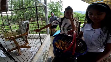 kanturan video|Tourism Student Nakipagkantutan muna sa BF bago Pumasok sa .